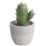 mini cactus artificiel en pot
