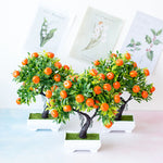 orange bonsai