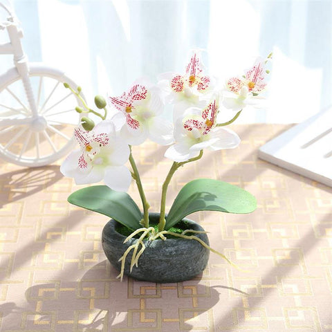 orchidée artificielle blanche en pot