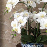orchidée artificielle blanche