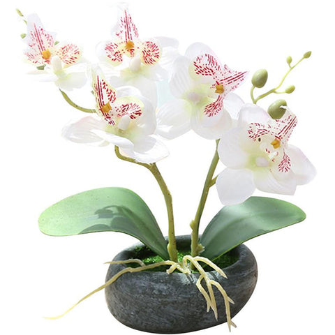 orchidée artificielle blanche