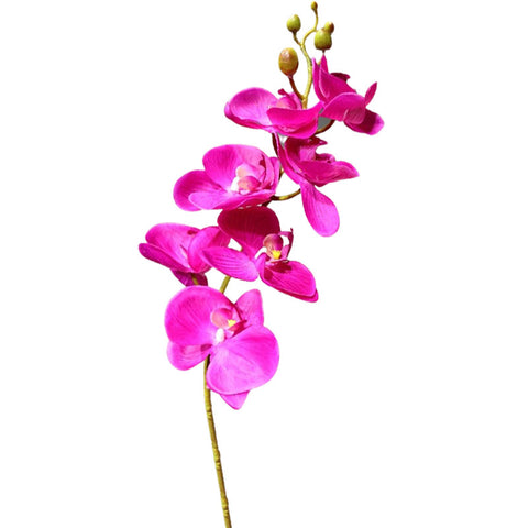 orchidée artificielle fuchsia
