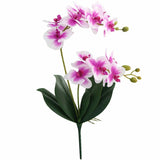 orchidée artificielle haut de gamme