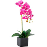 orchidee artificielle mariage