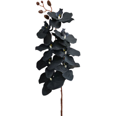 orchidée artificielle noire