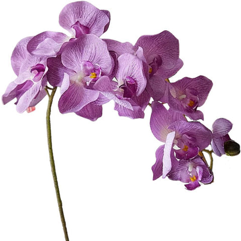 orchidée artificielle violette