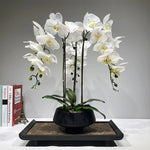 orchidée blanche artificielle