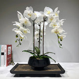 orchidée blanche artificielle