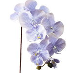 orchidée bleu artificielle