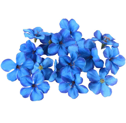 orchidée bleu