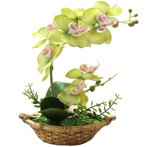 orchidée phalaenopsis artificielle
