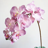 orchidée rose synthetique