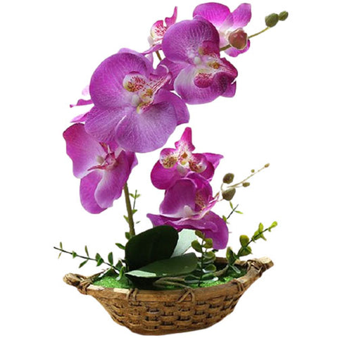 orchidée vanda artificielle