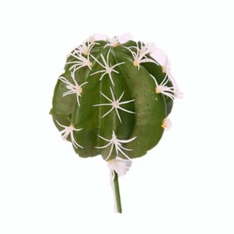 petit cactus artificiel