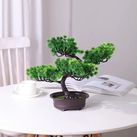 pin bonsai