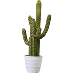 plante artificielle cactus