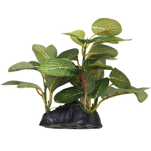 plante artificielle terrarium