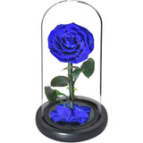 rose eternelle bleu sous cloche