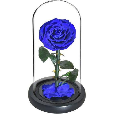 rose eternelle bleu