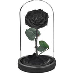 rose eternelle noir