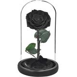 rose eternelle noire sous cloche