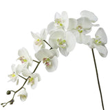 tete d orchidée artificielle