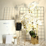 tige orchidée artificielle blanche