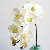 tige orchidée artificielle blanche