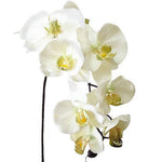 tige orchidée artificielle