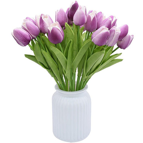 tulipe violette et blanche